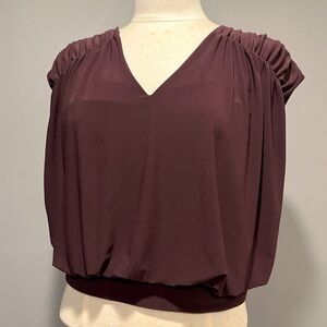 NWT Express Polished Matte Jersey Ruched Banded Bottom Top